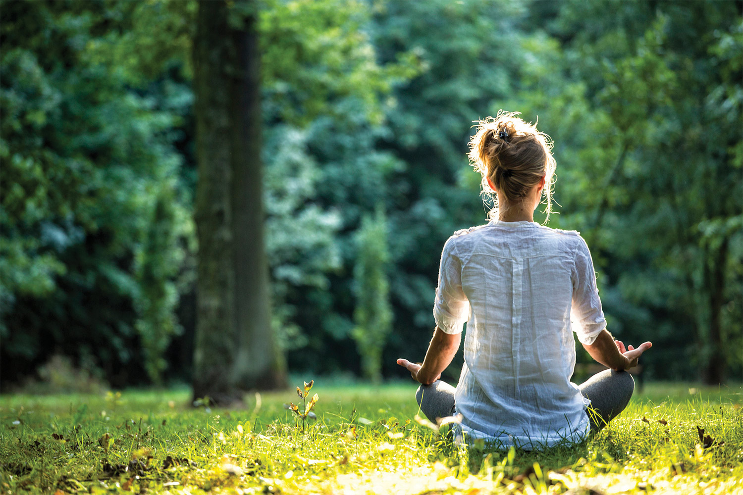 HOW TO MEDITATE – A BEGINNER’S GUIDE – thejerseylife.co.uk